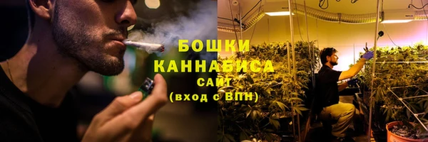 винт Гусь-Хрустальный