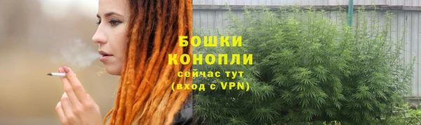 винт Гусь-Хрустальный