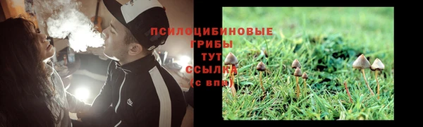 марки lsd Гусиноозёрск