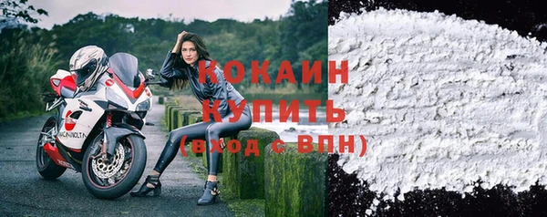 винт Гусь-Хрустальный