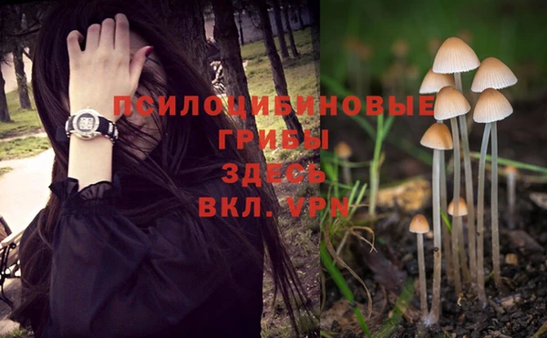 марки lsd Гусиноозёрск