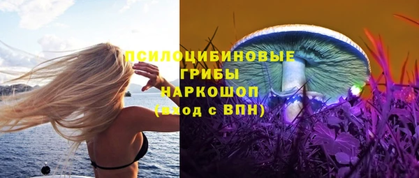 винт Гусь-Хрустальный